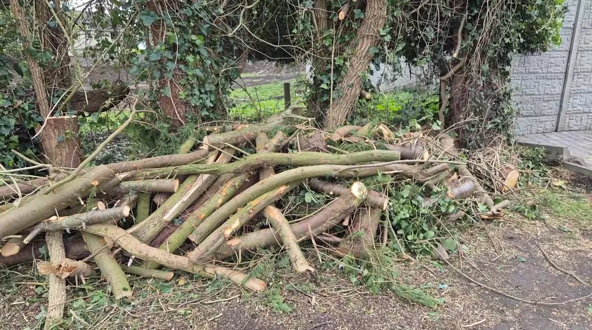 Firewood