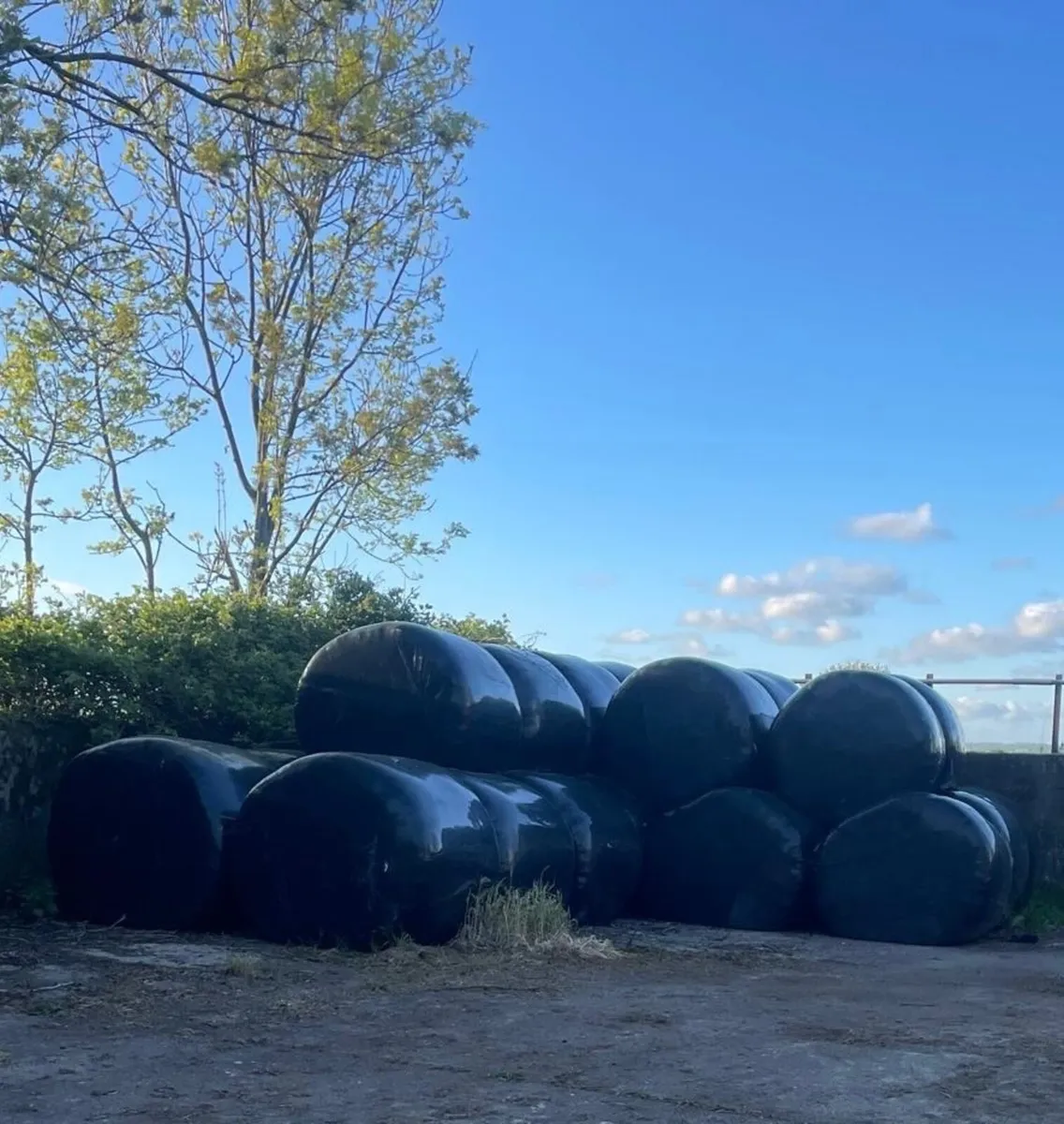 Silage bales