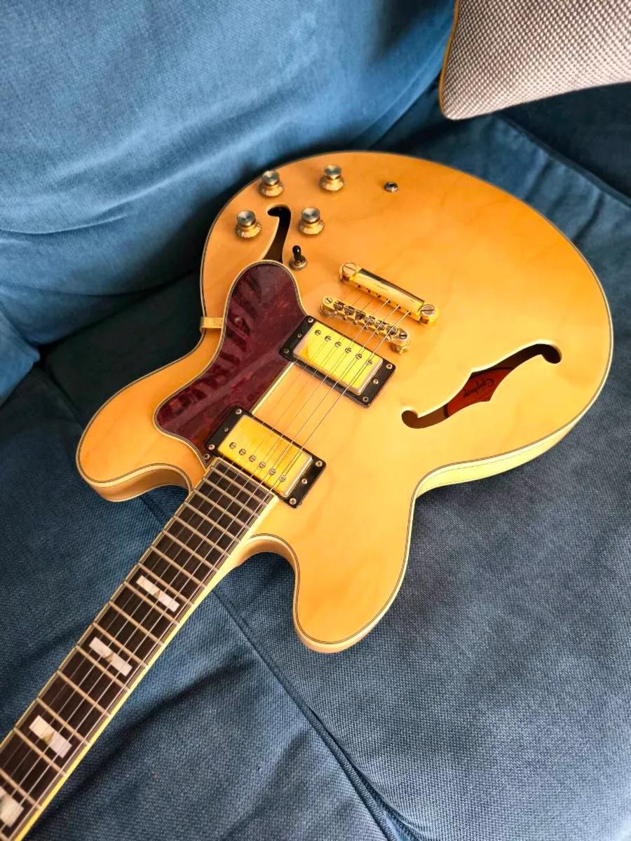 Epiphone Sheraton - Image 1