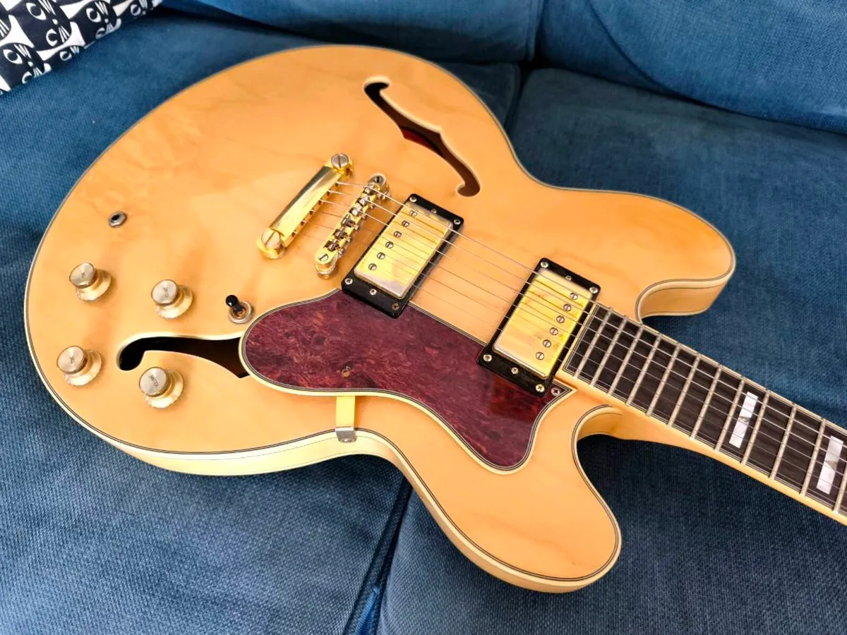 Epiphone Sheraton - Image 2