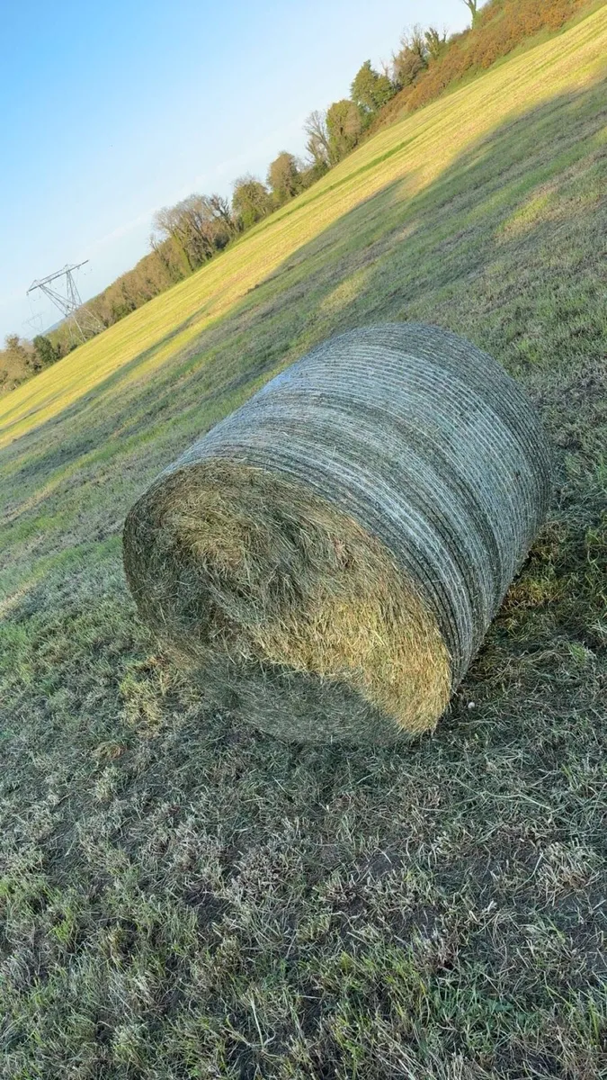 Full Baling Service - Image 4