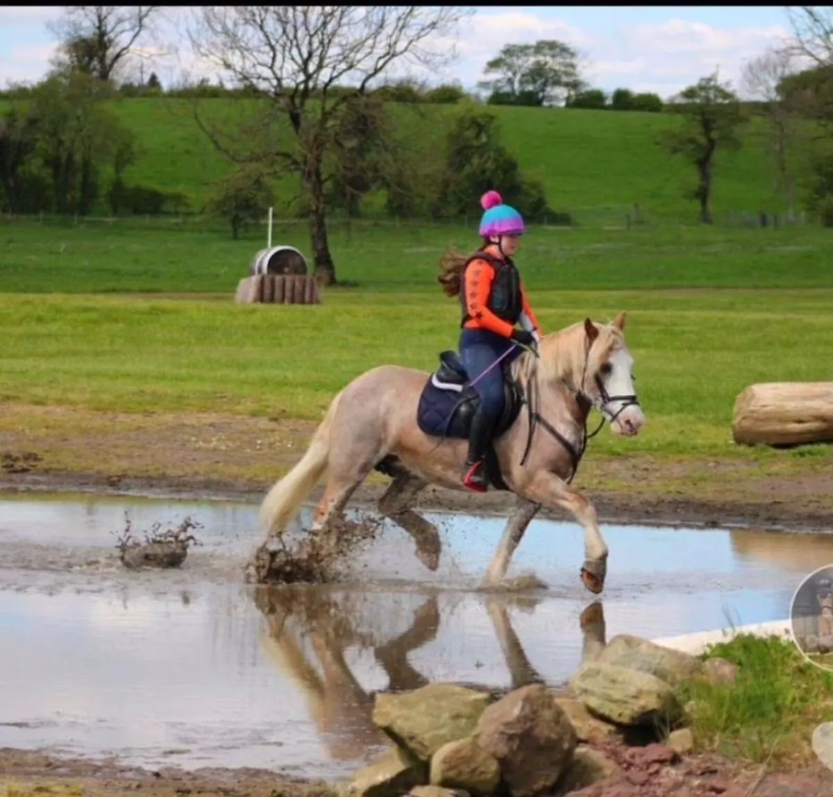 Pony - Image 3