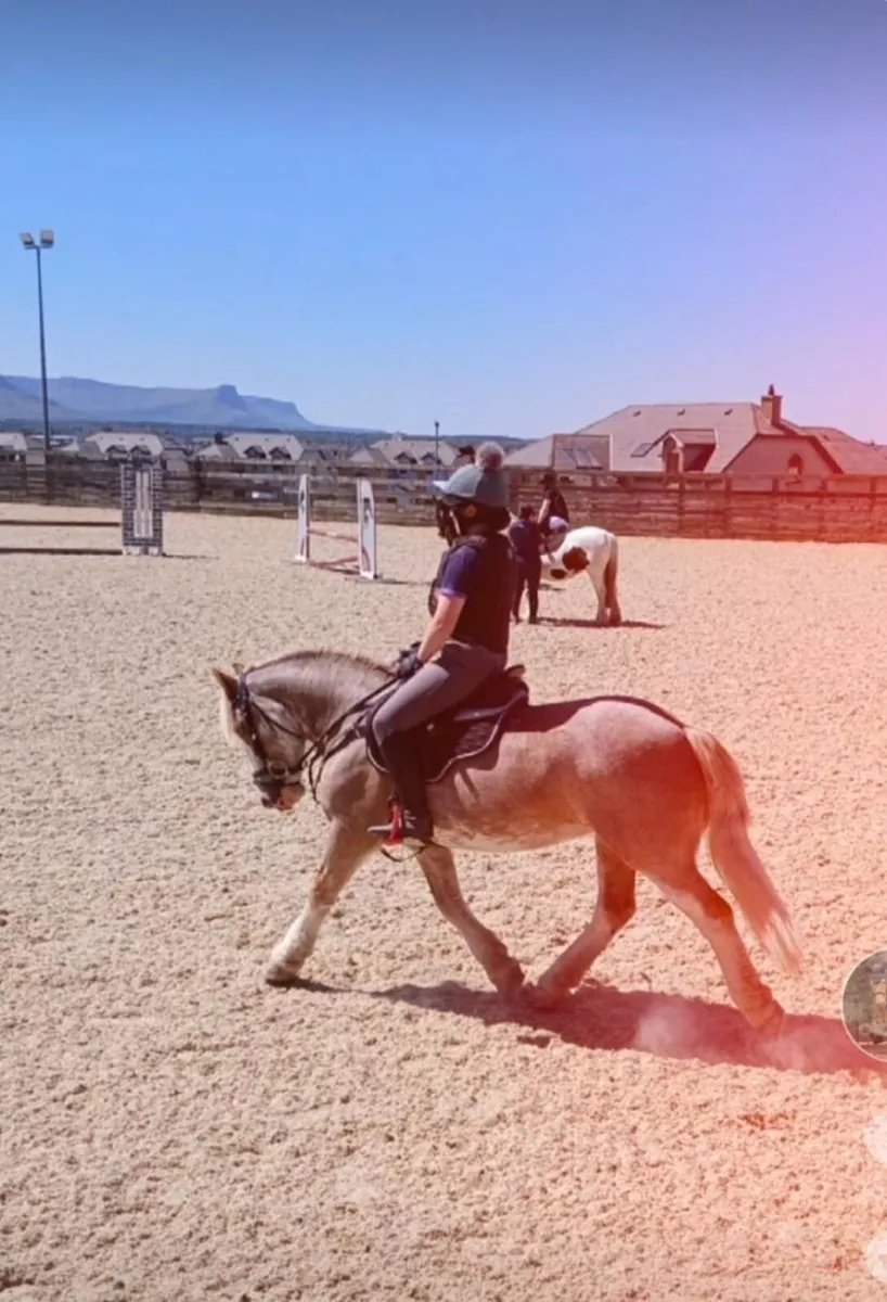 Pony - Image 1