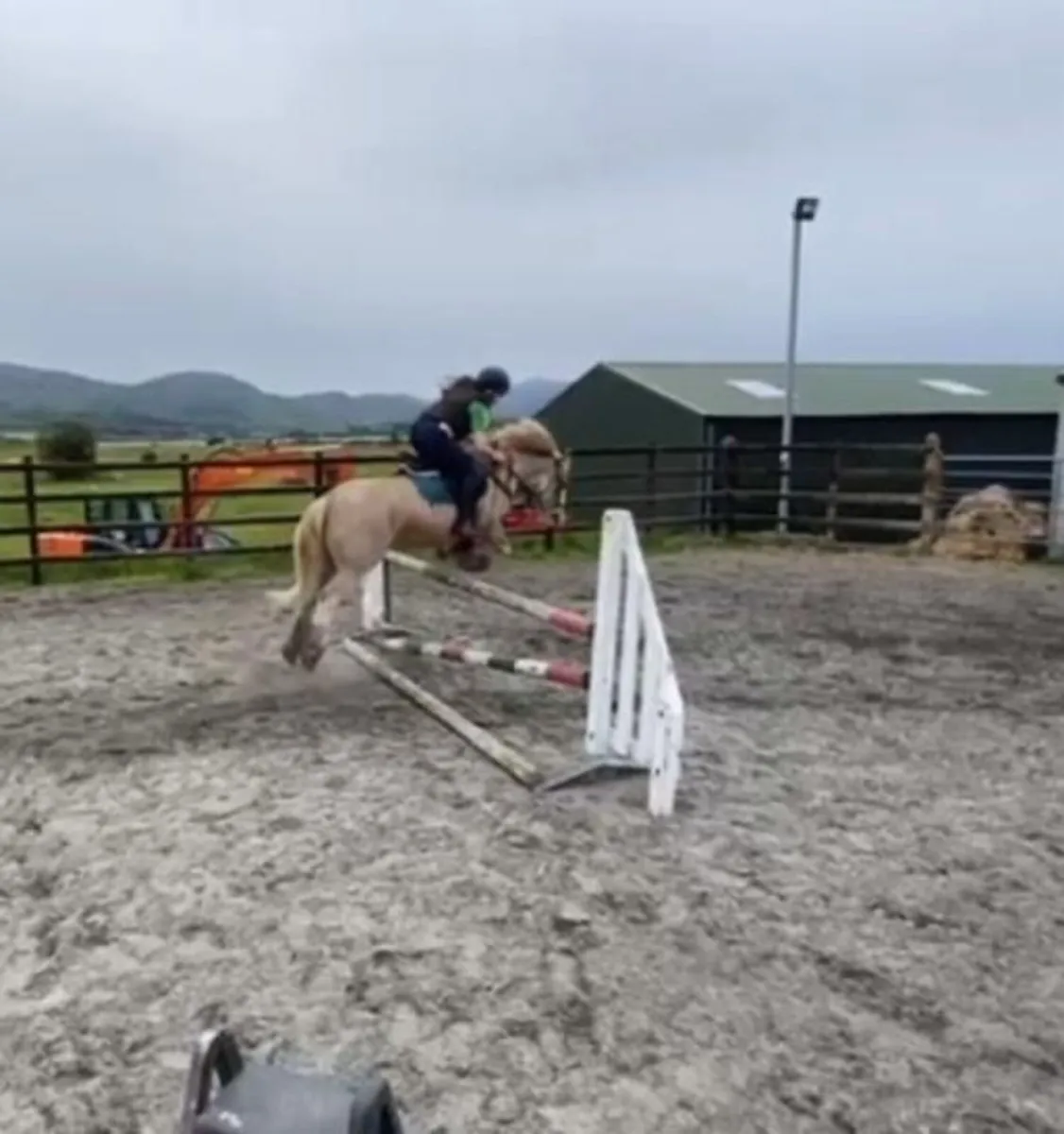 Pony - Image 2