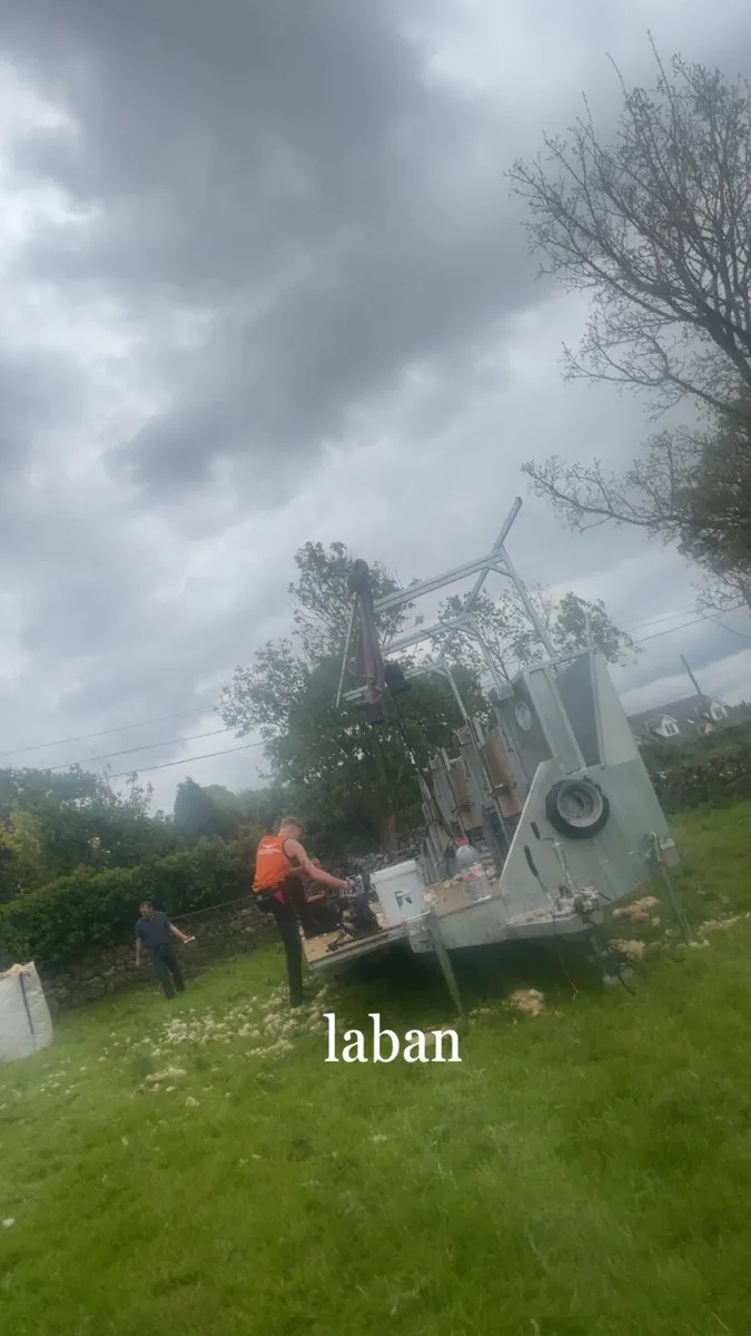 Sheep shearing - Image 2