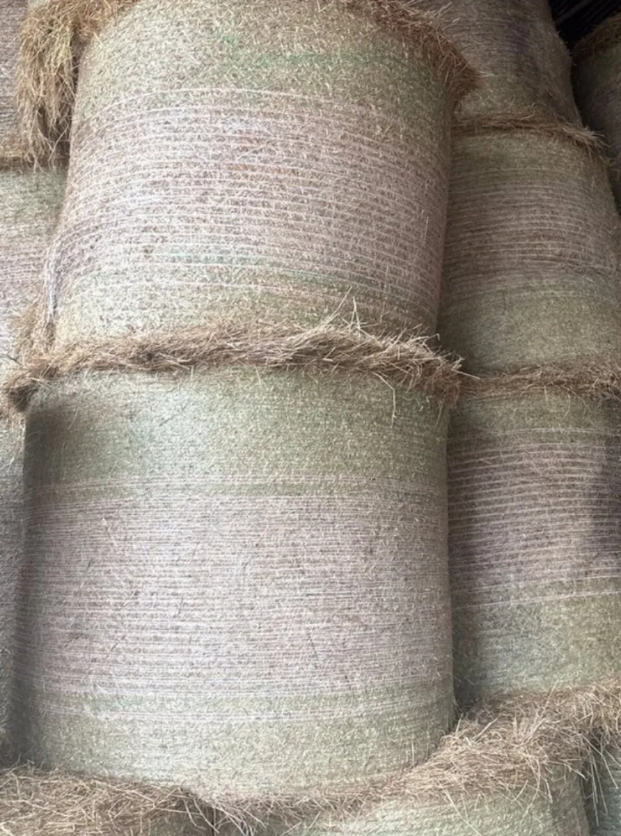 Hay and silage