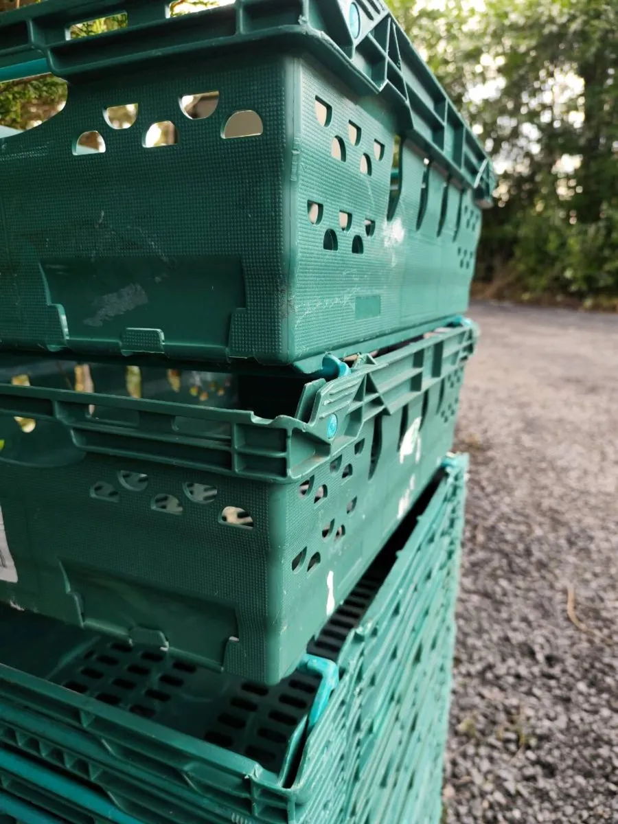 Plastic stacking veg crates - Image 1