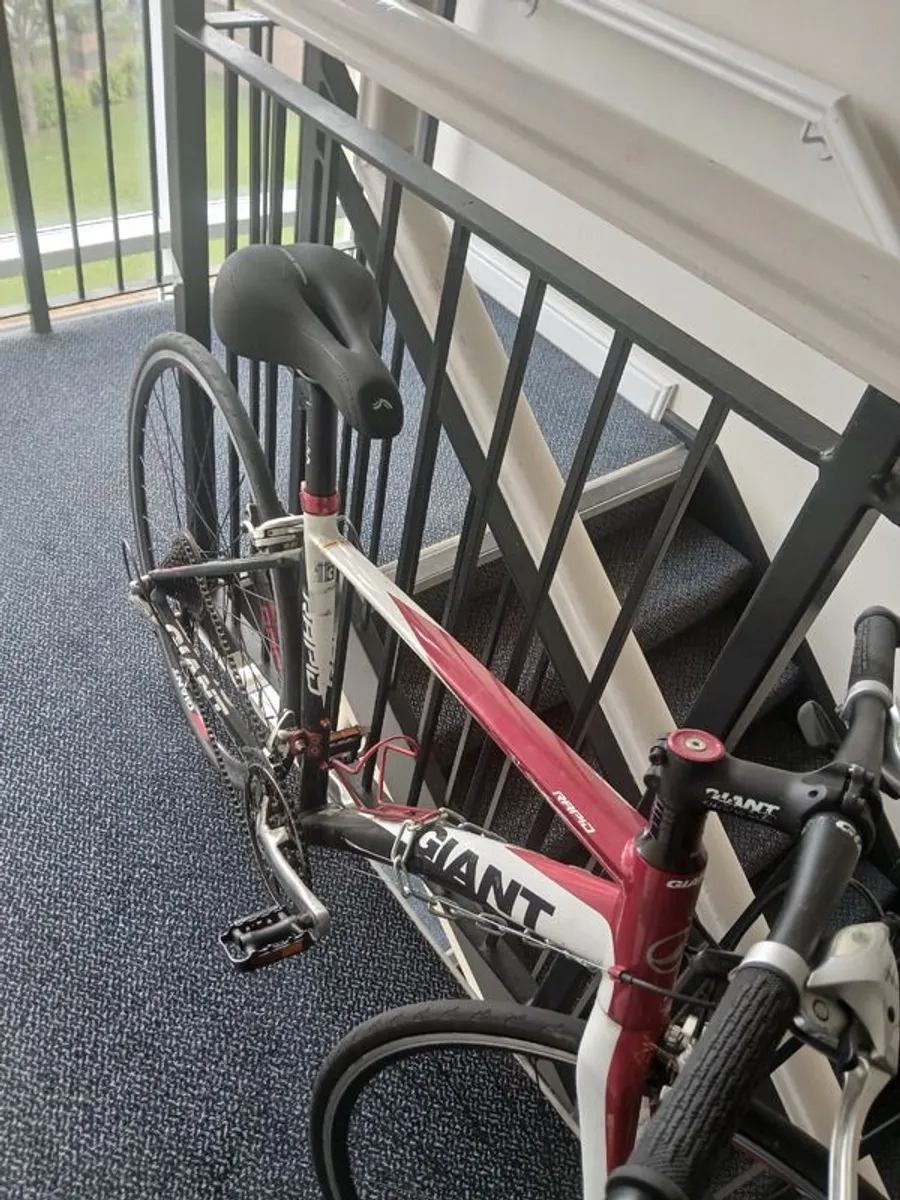 Bike road - Image 3