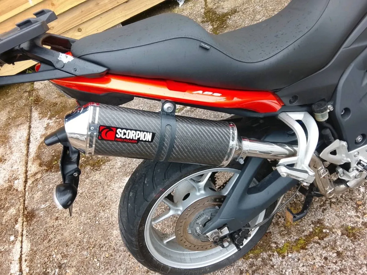 Triumph tiger - Image 2