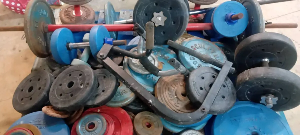 Large Collection Of Old Style Weights And Bench - Image 3