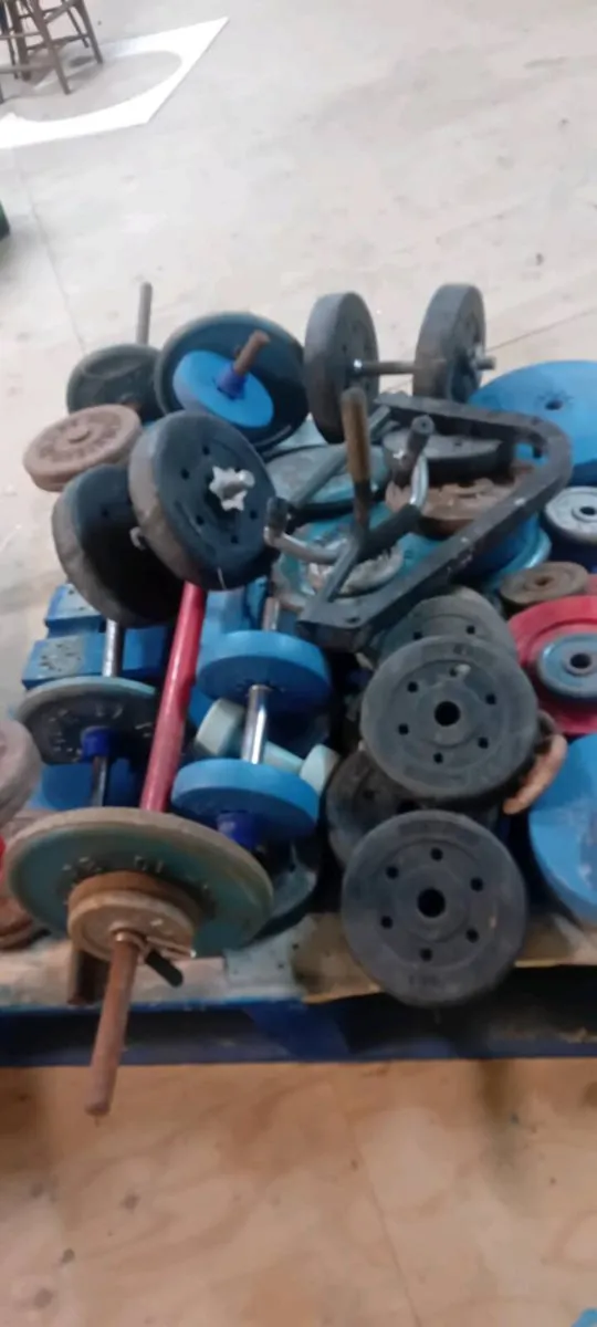 Large Collection Of Old Style Weights And Bench - Image 1