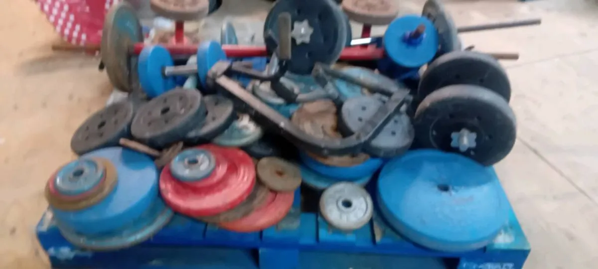 Large Collection Of Old Style Weights And Bench - Image 2