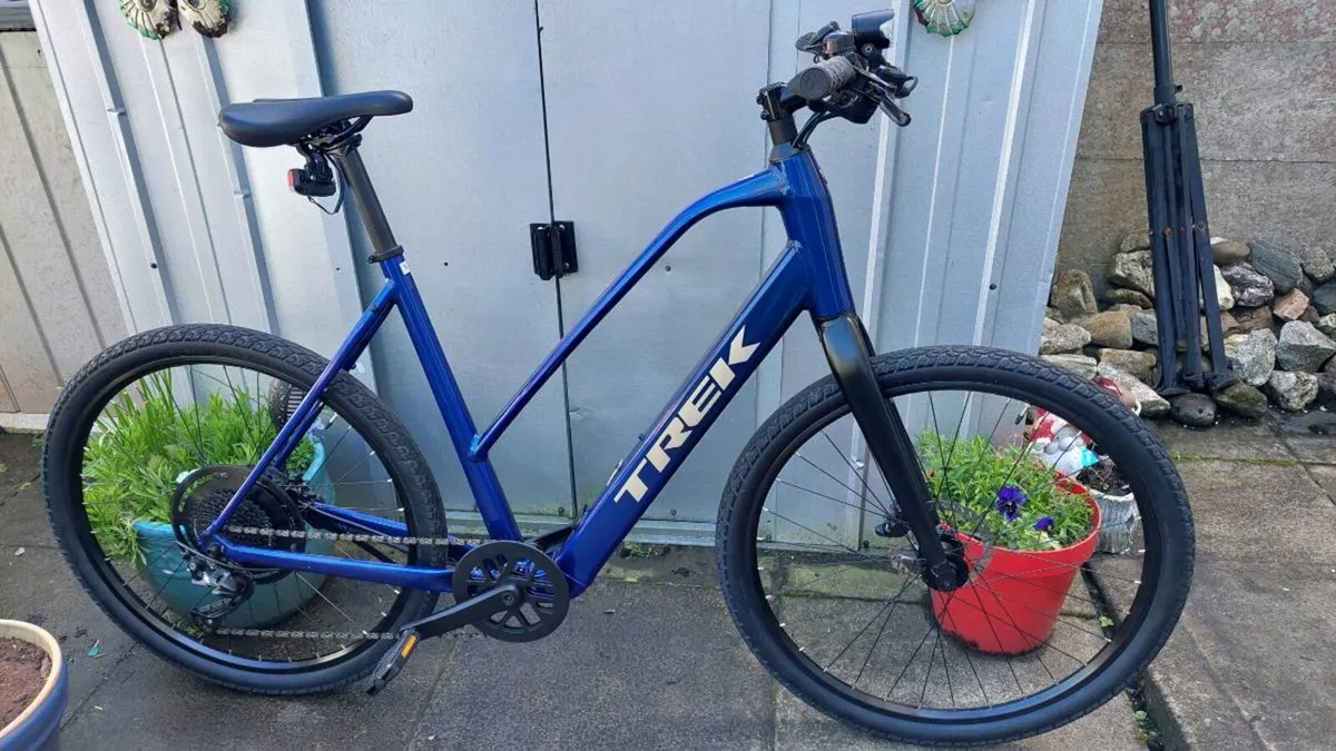Trek E-Bike XL Frame - Image 4