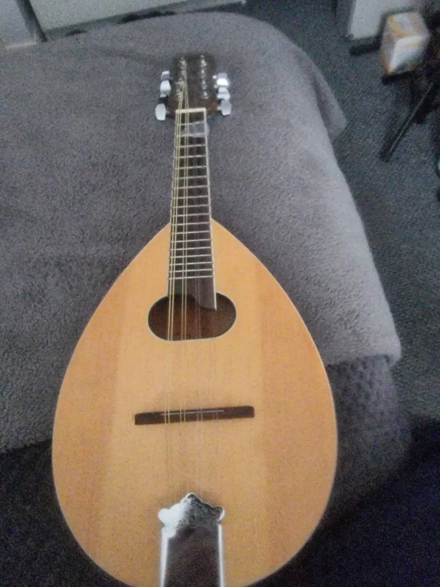 Ozark mandolin - Image 1