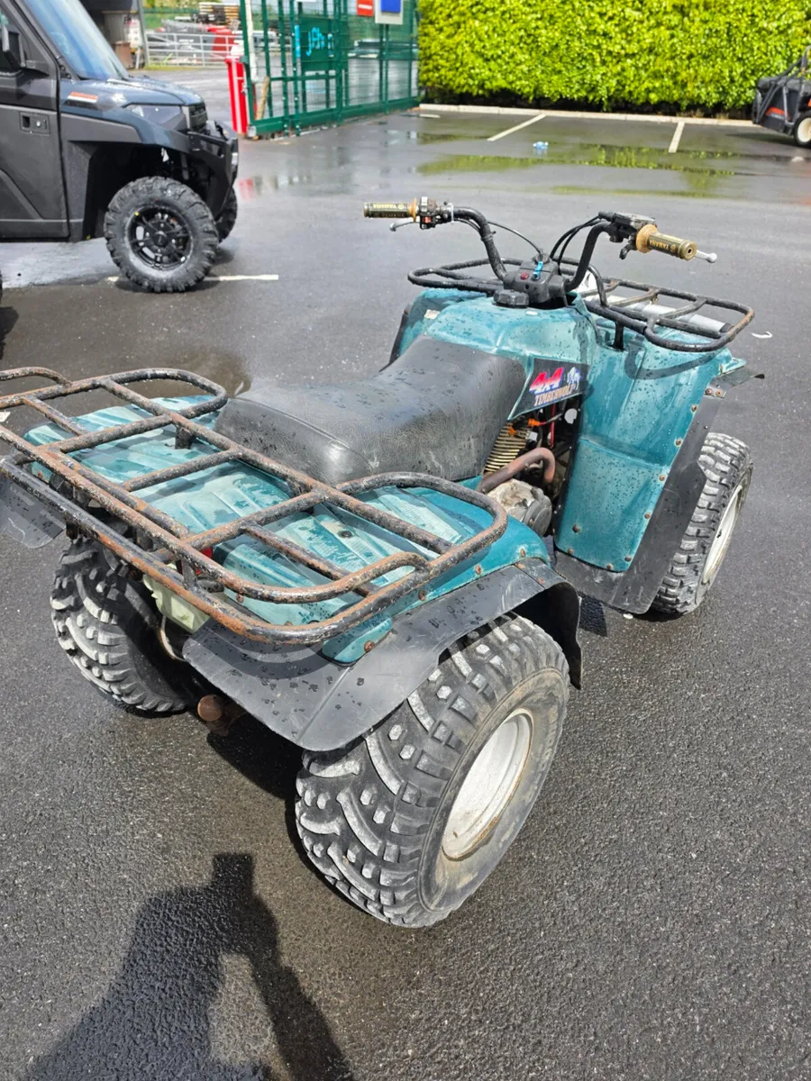 Yamaha Timberwolf 250 - Image 4