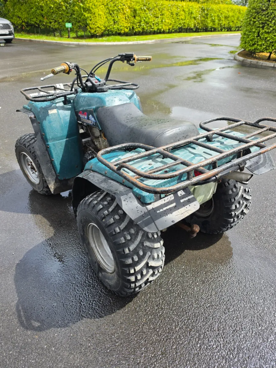 Yamaha Timberwolf 250 - Image 3