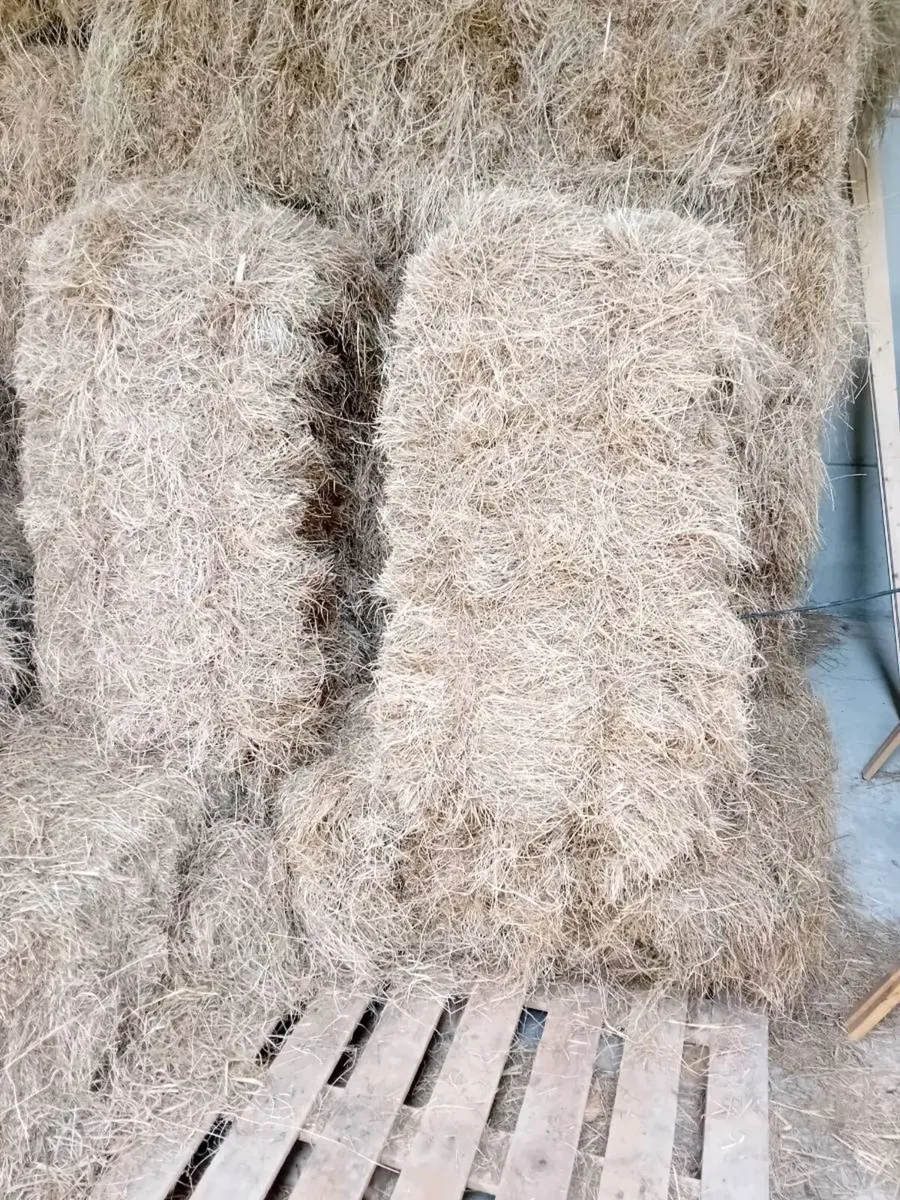Hay - Image 2