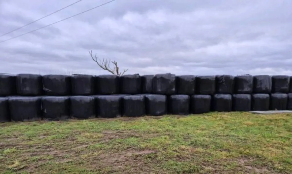 Haylage - Image 2