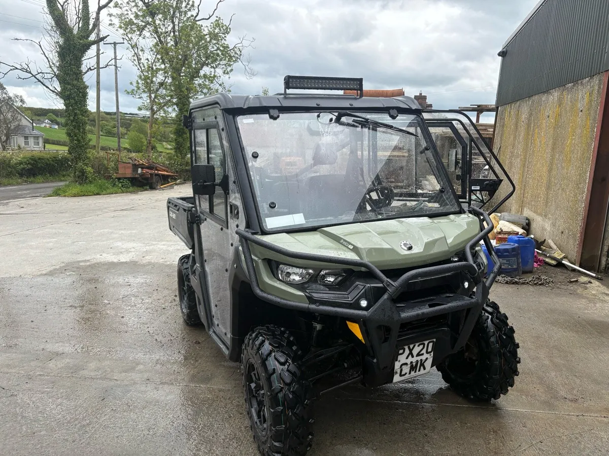 Gator - Image 1