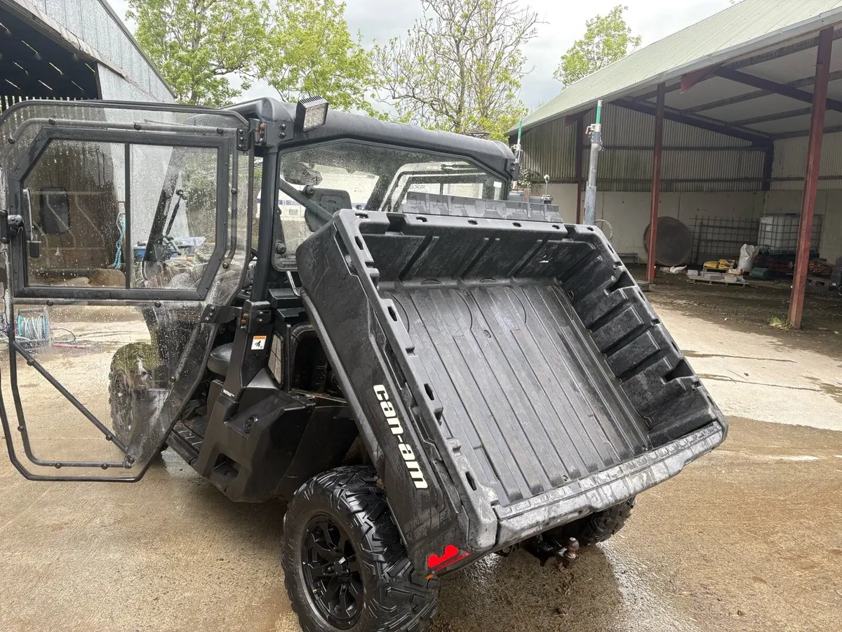 Gator - Image 2