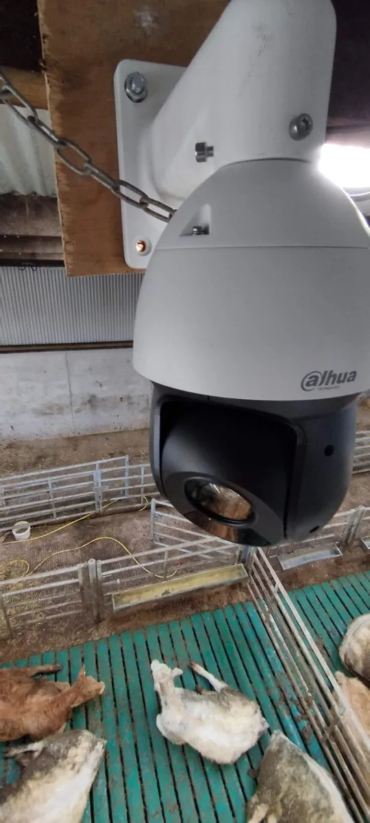 Calving cameras and WiFi - Image 1