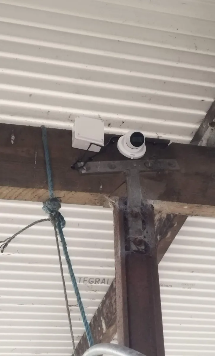 Calving cameras and WiFi - Image 3