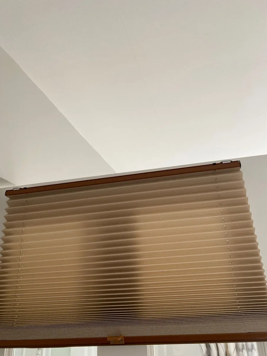 Blind - Image 2