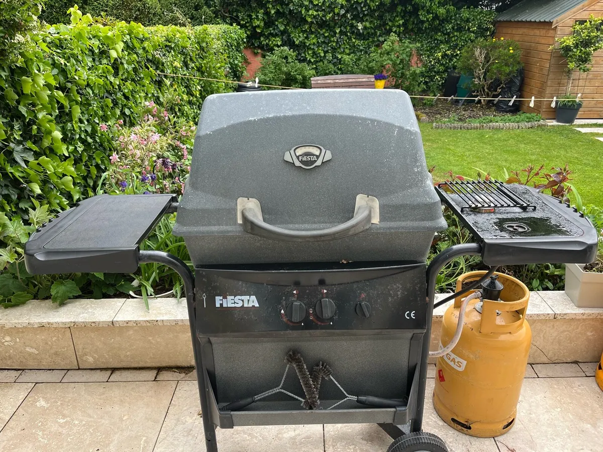 Gas Barbeque - Image 1