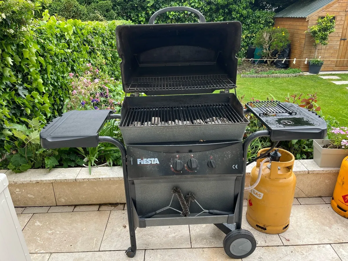 Gas Barbeque - Image 2