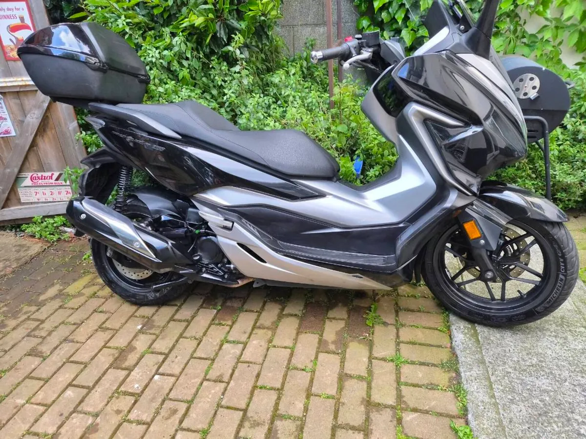 Suzuki vstrom, honda forza 300 - Image 1