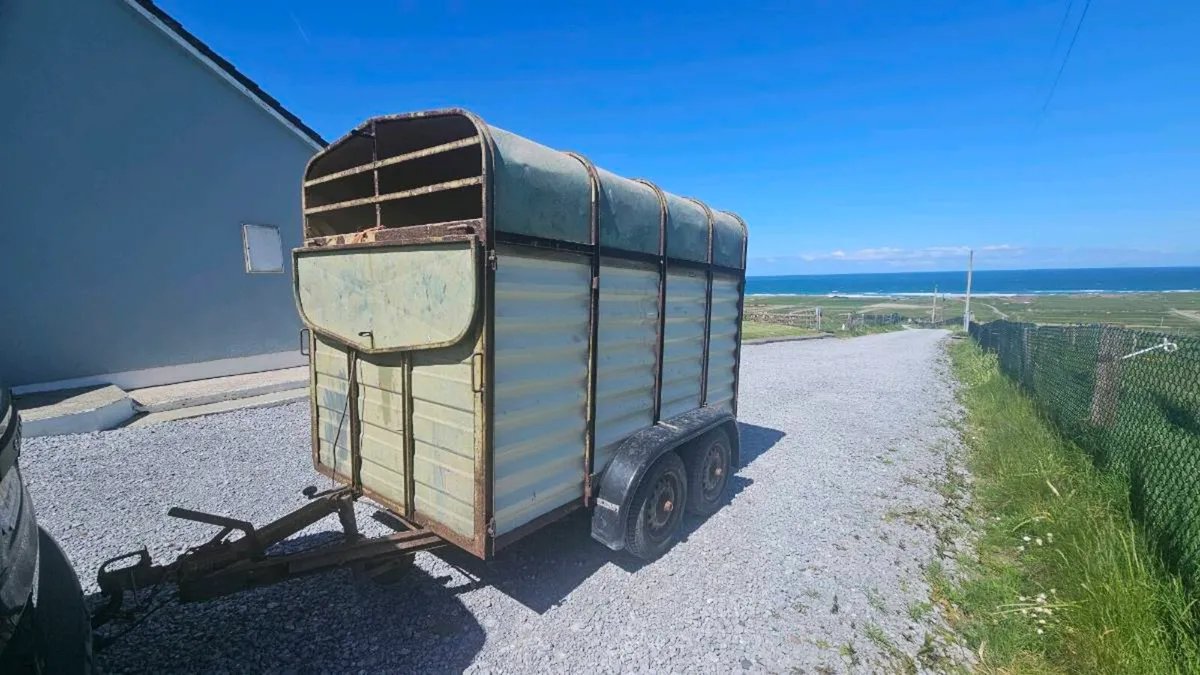 Cattle Box - Image 1