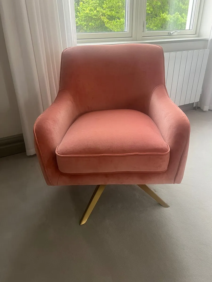 Pink Velvet Chair - Image 1