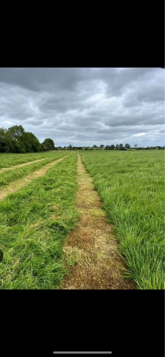 GRASS WANTED