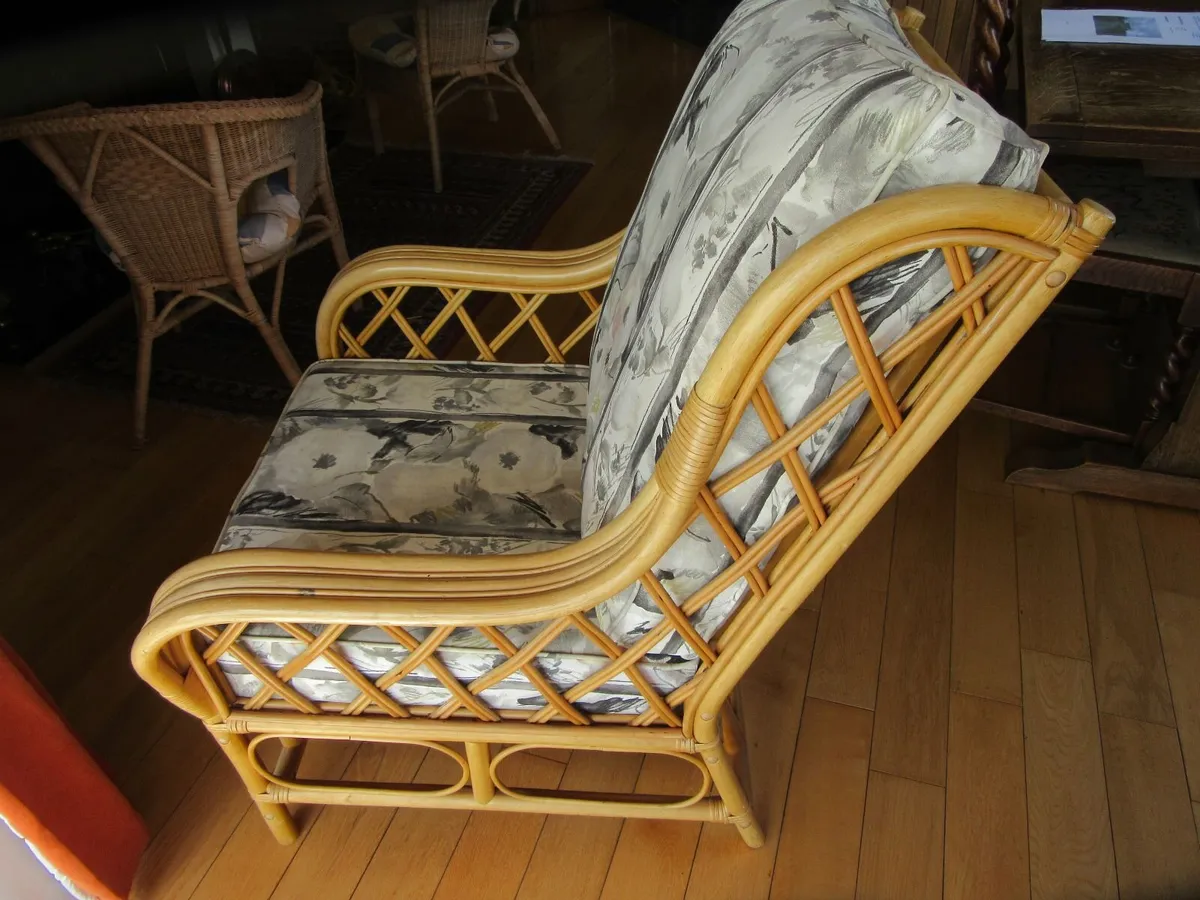 Chairs for a Conservatory - Image 3