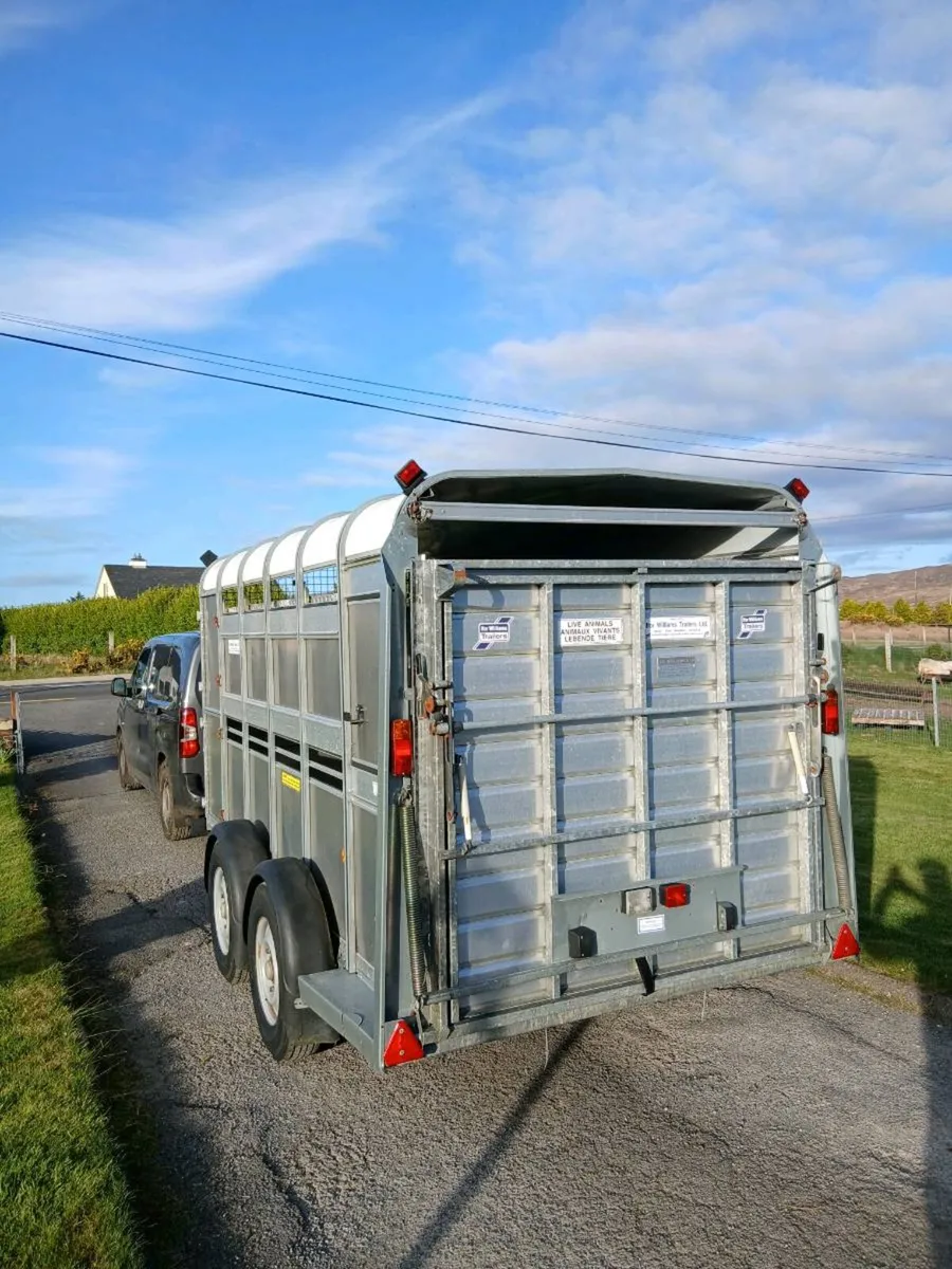 Ifor williams 12x6 trailer with sheep decks - Image 3