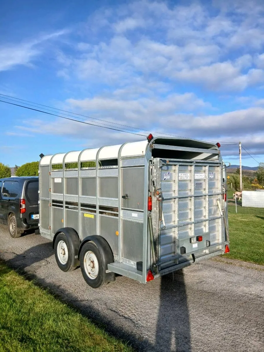 Ifor williams 12x6 trailer with sheep decks - Image 4