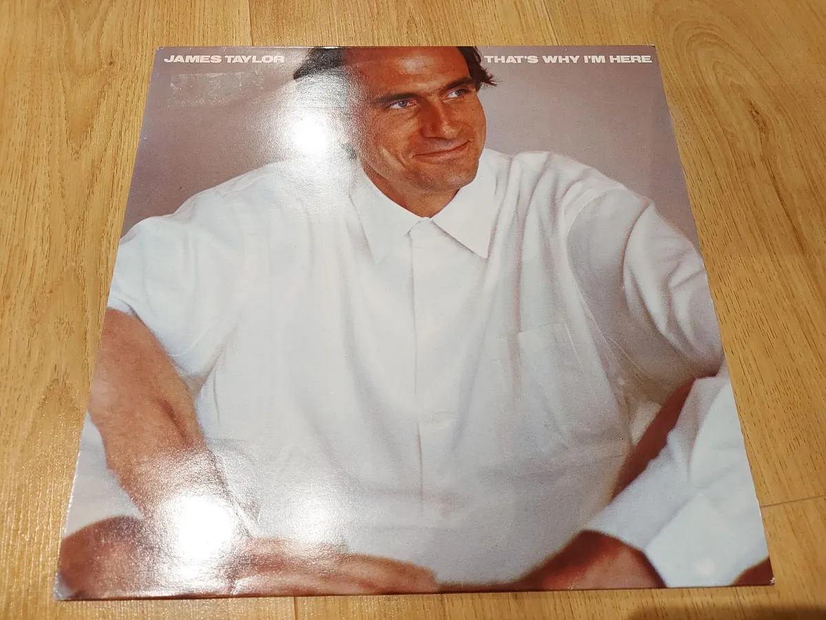 New Batch of Vinyl Record LPs for sale (12/30) - Image 3