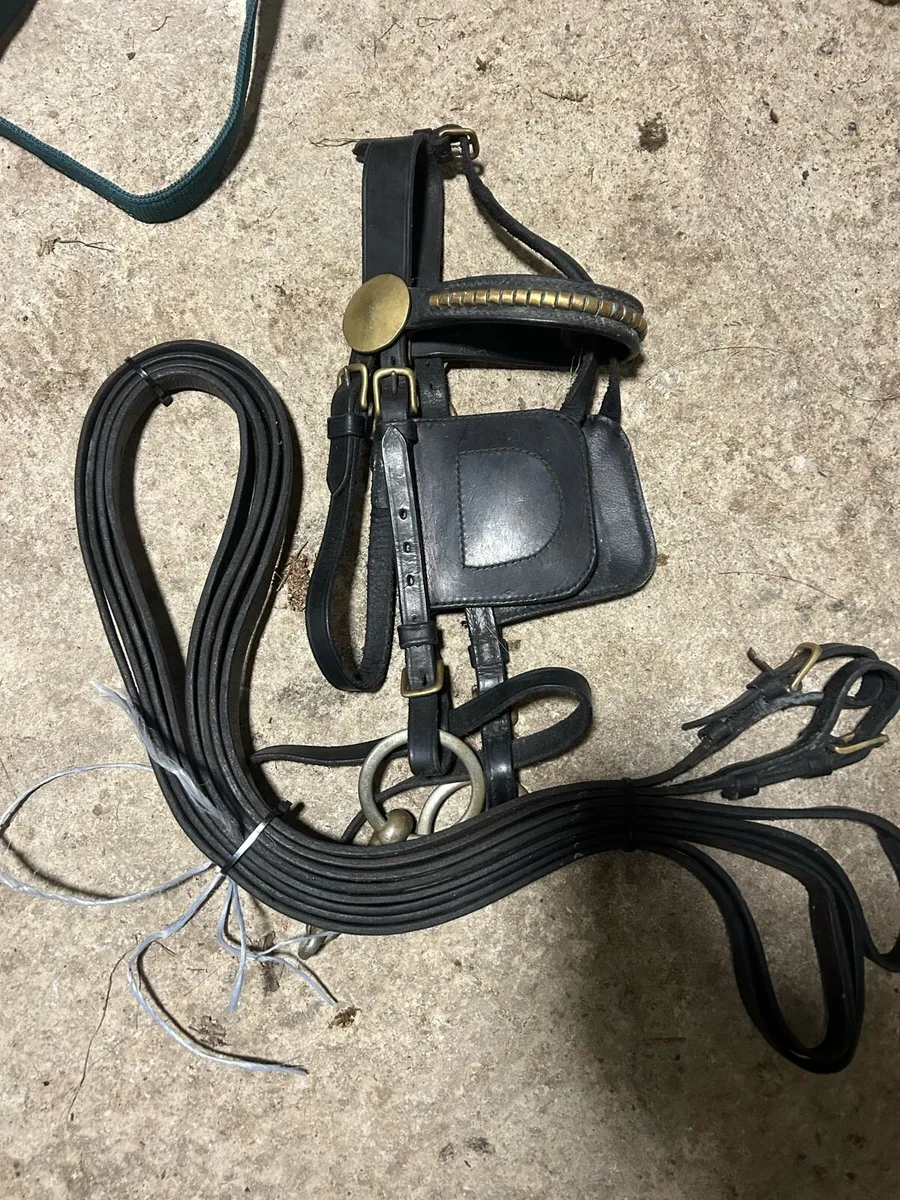English Pony harness - Image 1