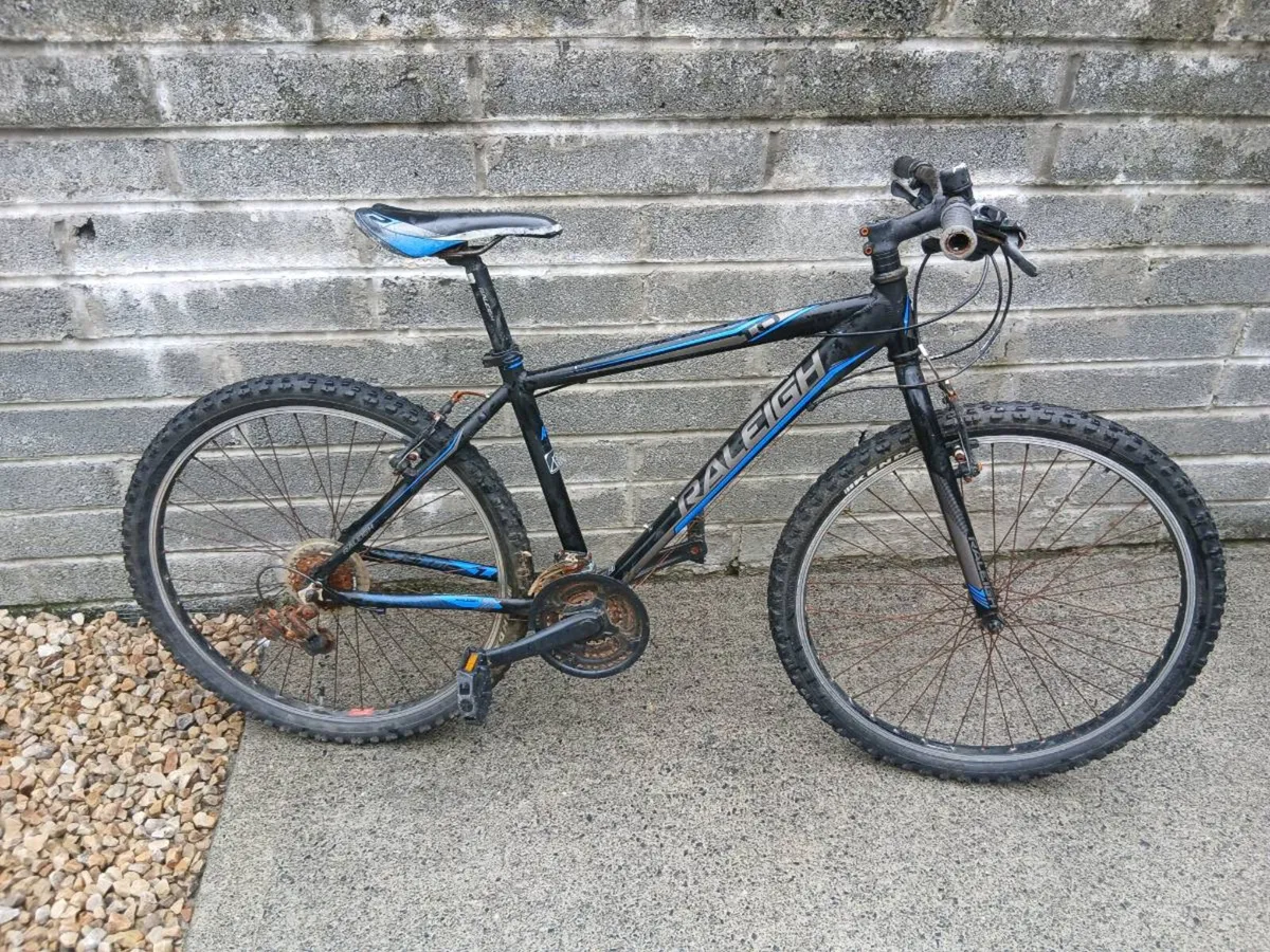 TEENS/ADULTS BIKE - Image 1
