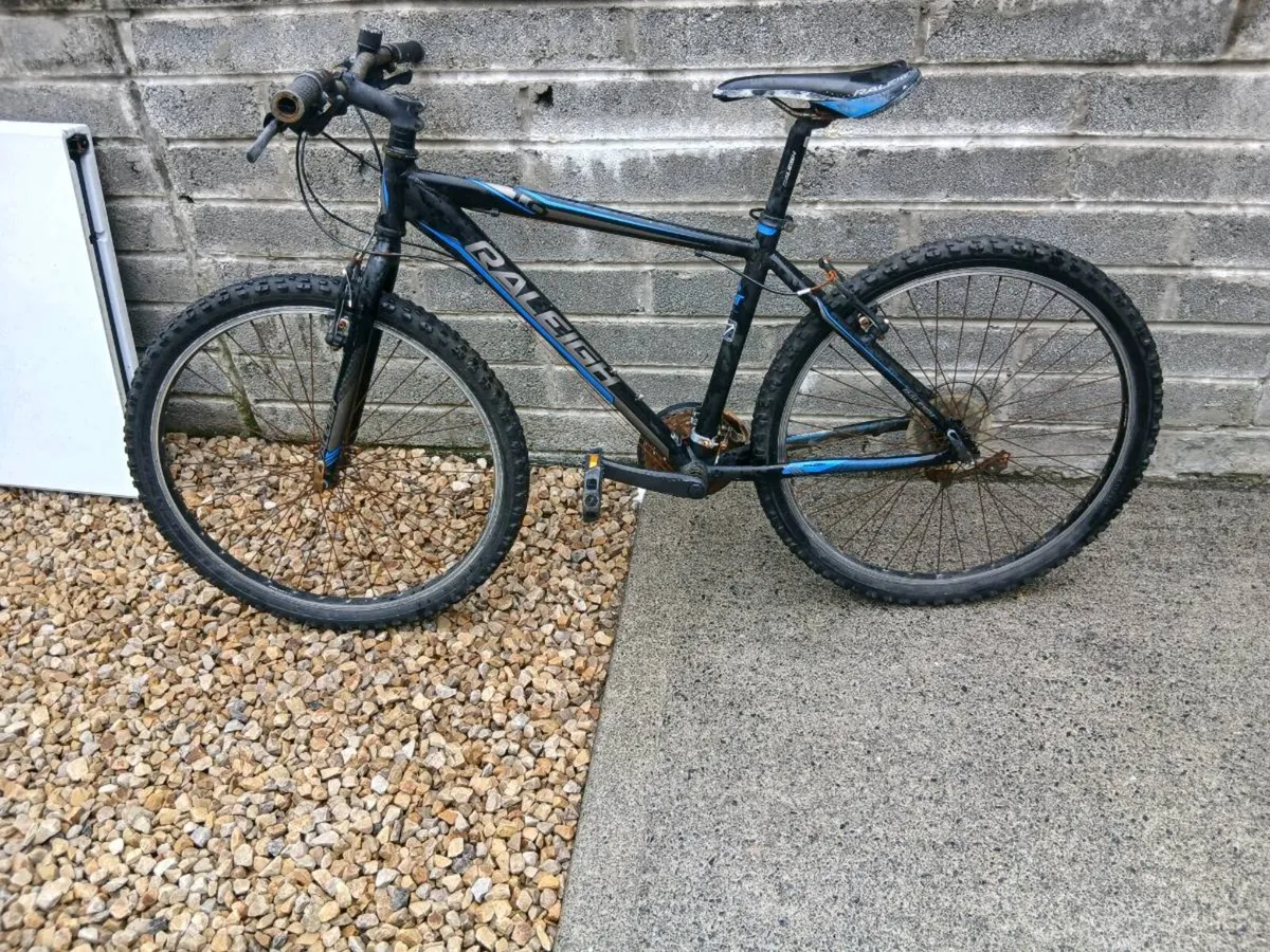 TEENS/ADULTS BIKE - Image 2