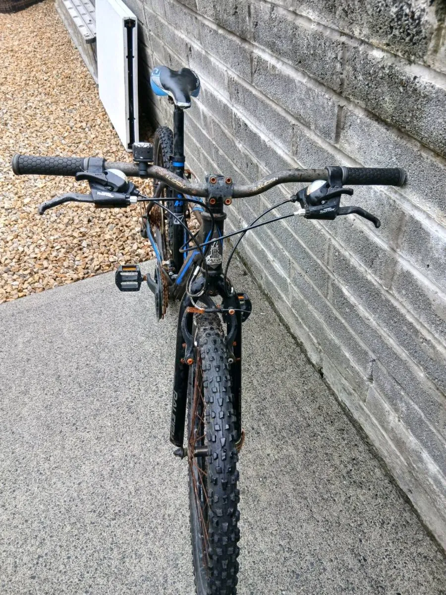 TEENS/ADULTS BIKE - Image 3