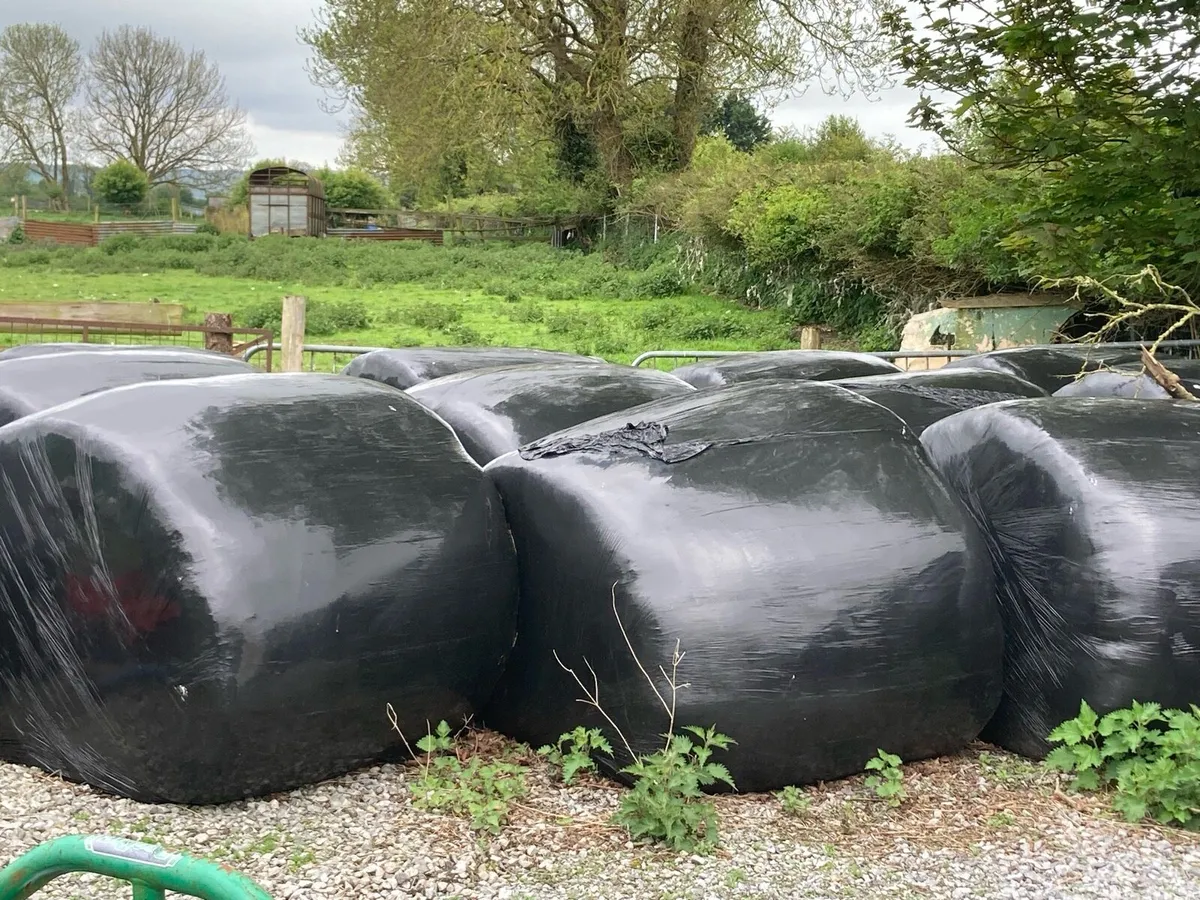 Silage Bales - Image 1