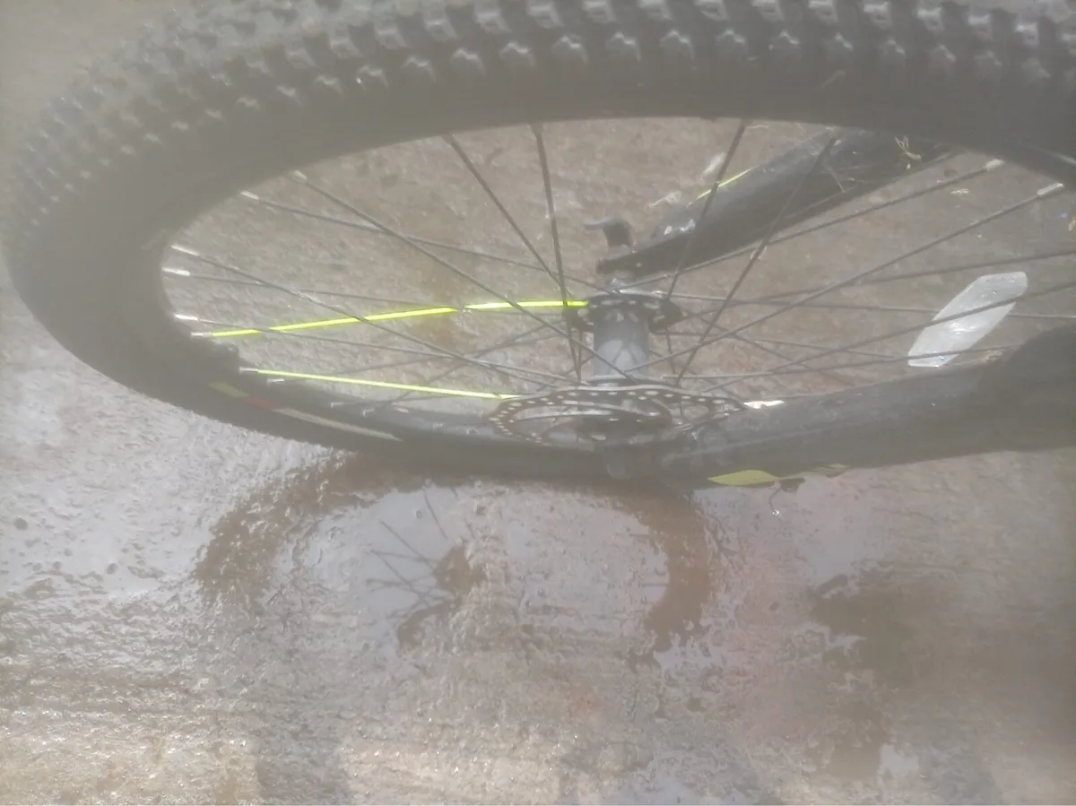Bike - Image 2