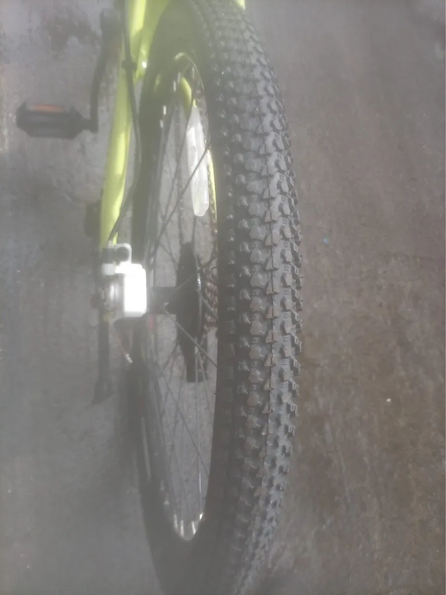 Bike - Image 3
