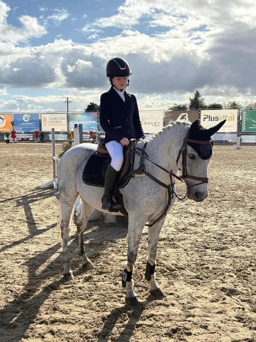 Pony - Image 1