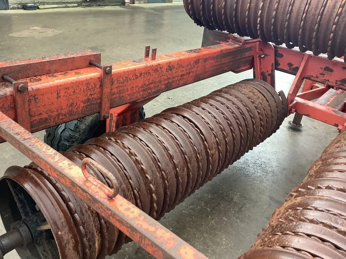 Overum Cambridge Rollers - Image 4