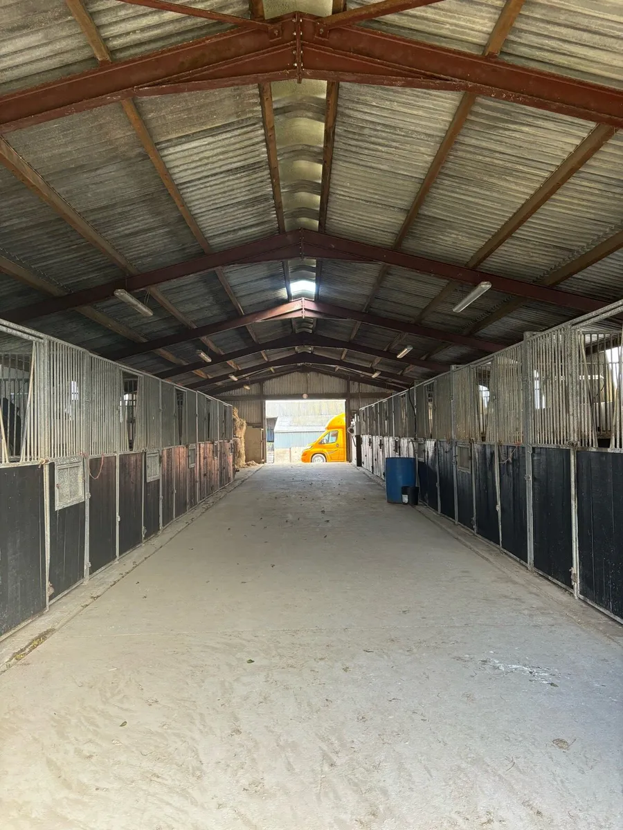 DIY Livery/ Sales Production/ Schooling Services - Image 2