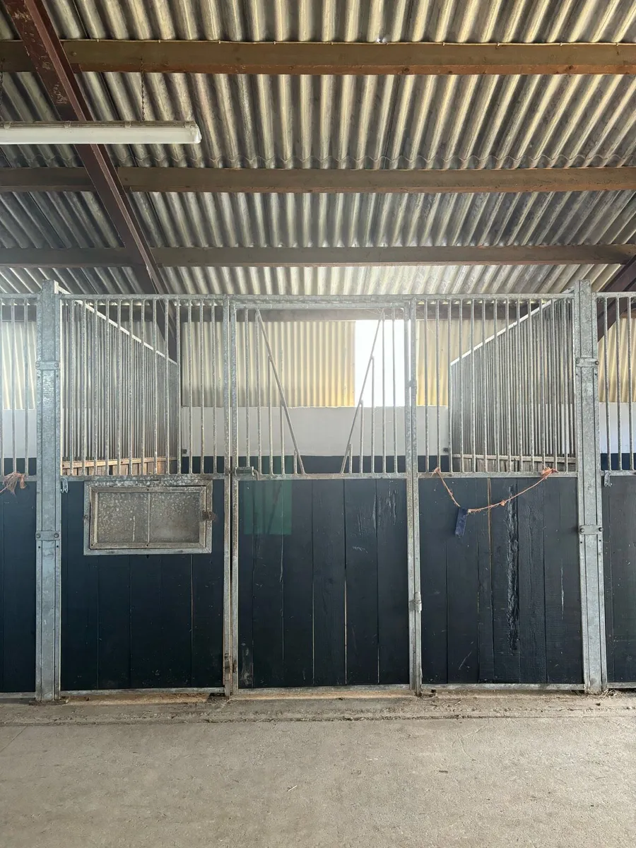 DIY Livery/ Sales Production/ Schooling Services - Image 4