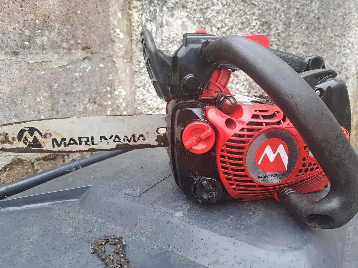 Chainsaw - Image 2