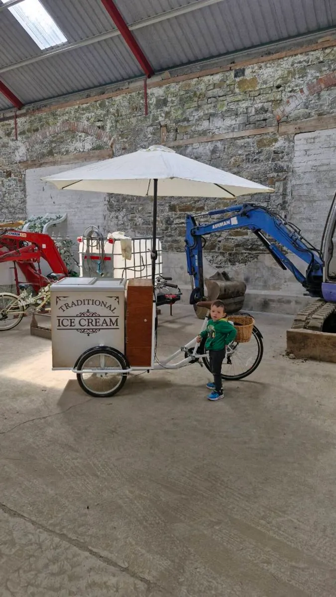 Ice-cream bike - Image 4
